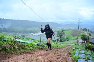 BIB: 
                            <button type="button" onclick="openModal(13378218)" class="btn btn-primary btn-sm float-right btn-popup" data-toggle="modal" data-target=".modal-high-quality">
                        <i class="fas fa-shopping-cart"></i> Add to Cart
                    </button>
                                            <button type="button" onclick="isThisMe(13378218, true)" class="btn btn-success btn-sm float-right btn-popup btn-isme hidden" data-toggle="tooltip" data-placement="bottom" title="นี่คือรูปของคุณใช่ไหม คลิกที่นี่เพื่อเอาเข้าอัลบั้ม">
                        <i class="fas fa-plus"></i> Add to album
                    </button>
                    <button type="button" onclick="isThisMe(13378218, false)" class="btn btn-warning btn-sm float-right btn-popup btn-isnotme hidden">
                        <i class="fas fa-ban"></i> Remove from album
                    </button>